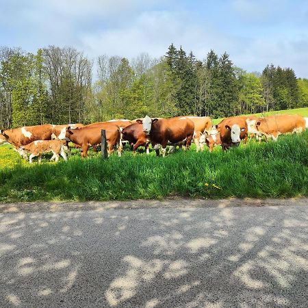 Zdomek Teplice nad Metují エクステリア 写真