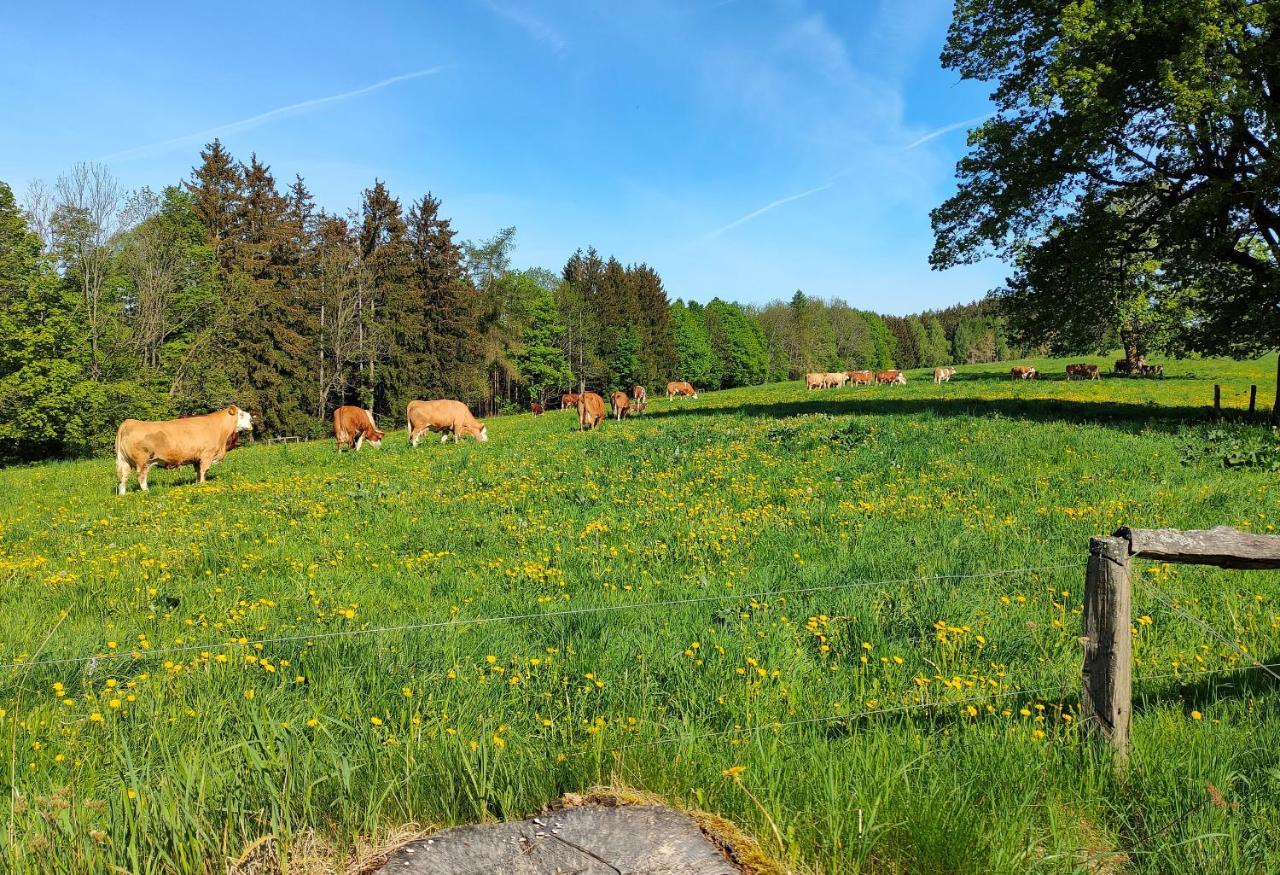 Zdomek Teplice nad Metují エクステリア 写真